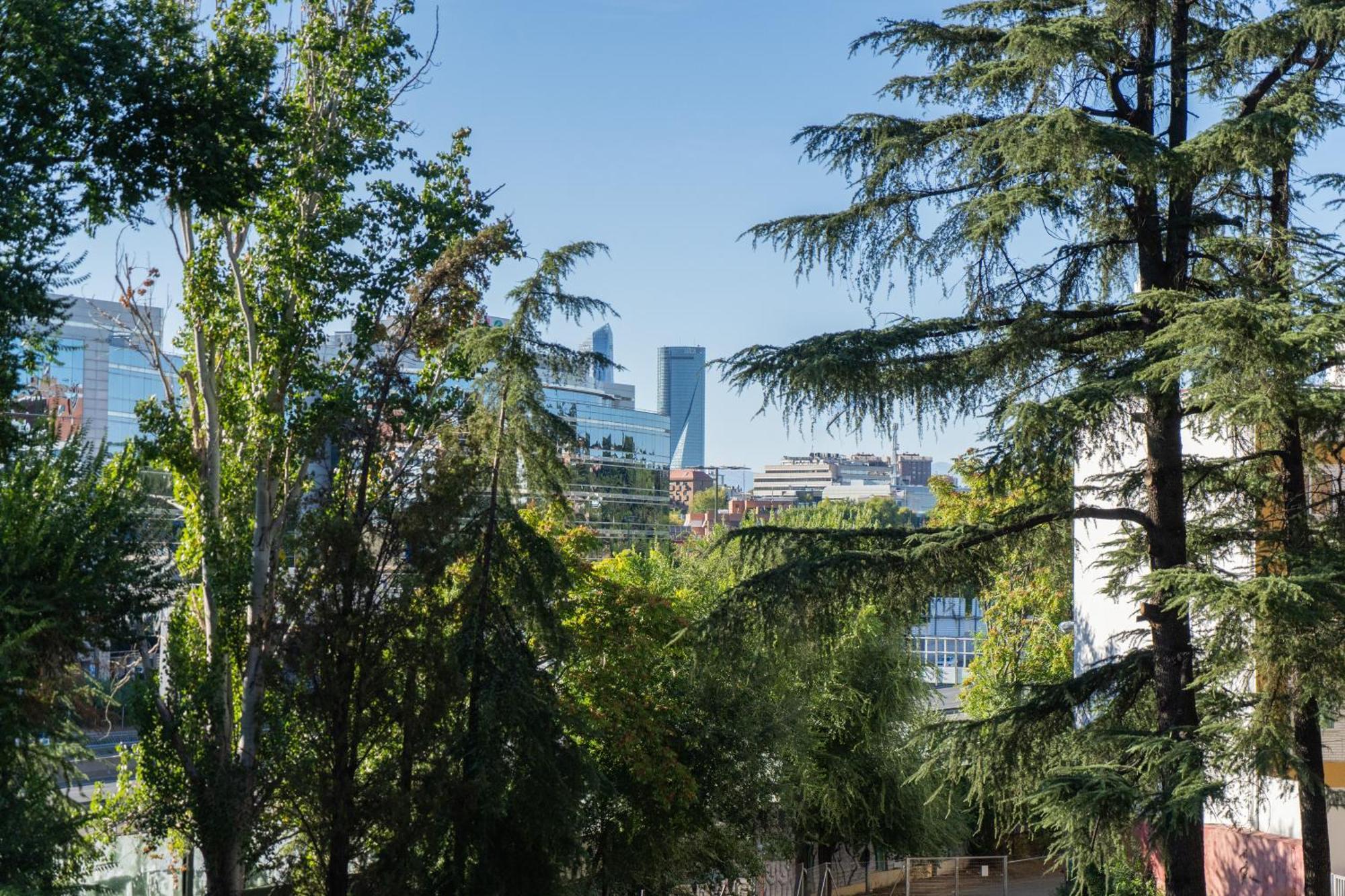 Encantador Estudio Chamartin Madrid Exteriör bild